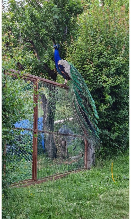 Monte San PietroLa Teggiaアパートメント エクステリア 写真