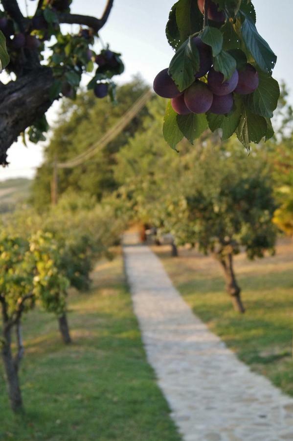 Monte San PietroLa Teggiaアパートメント エクステリア 写真